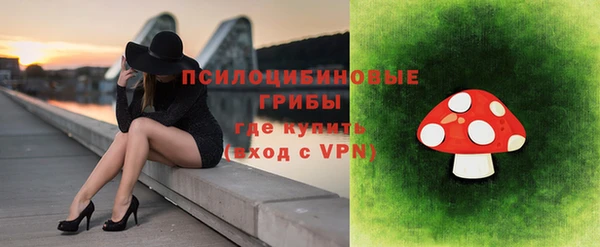 первитин Нея