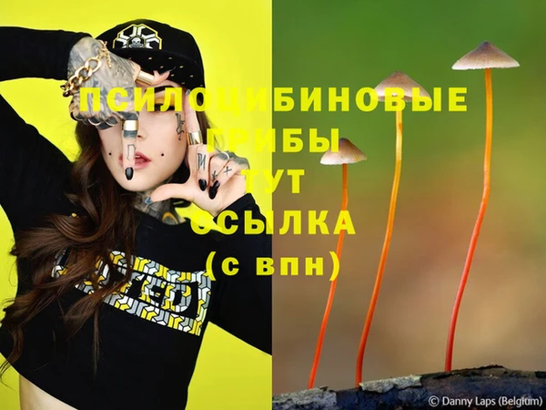 первитин Нея