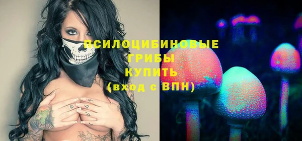 МДПВ Нефтегорск