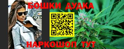индика Краснознаменск