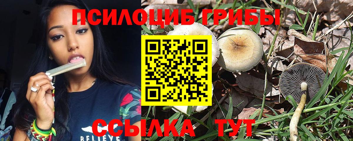 Псилоцибиновые грибы мухоморы Димитровград